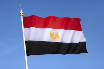 エジプト大使館の求人